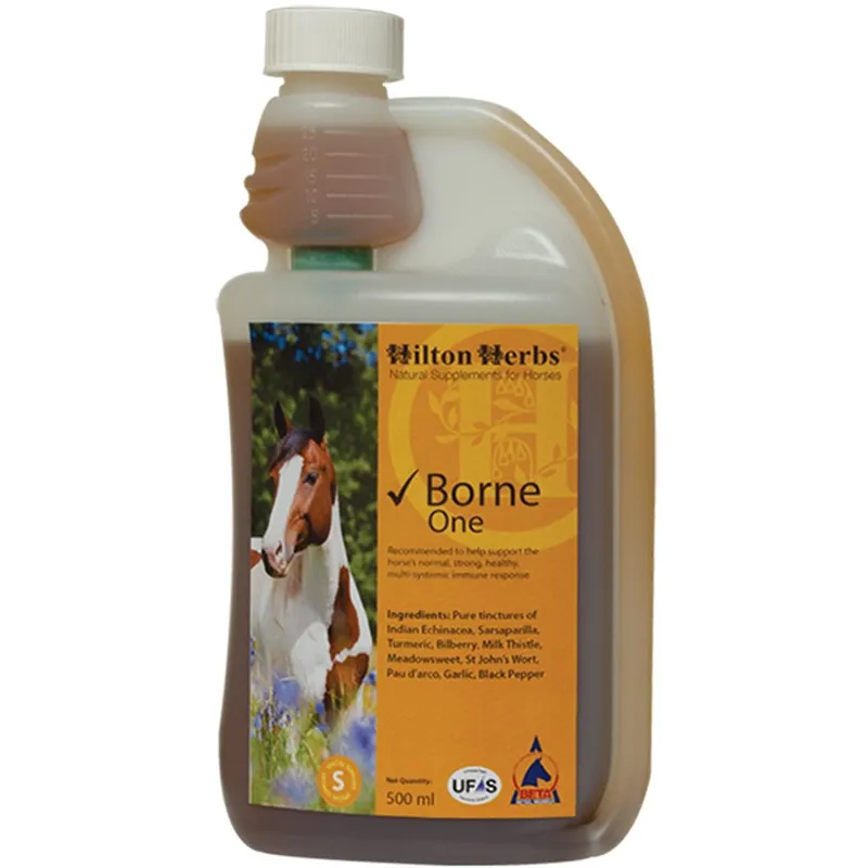 HH Borne One 500ml