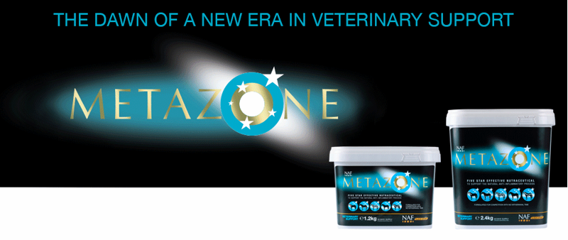 Metazone Powder 2.4kg