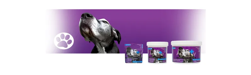 Pet Supplements