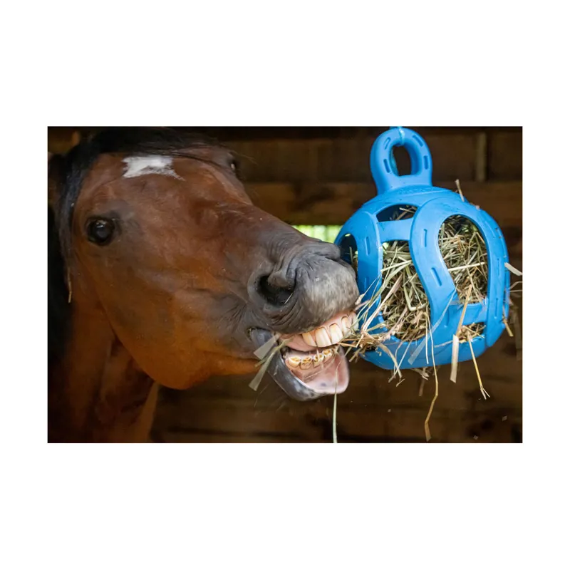 Horsemens's Pride Jolly Hay Ball Blue -2