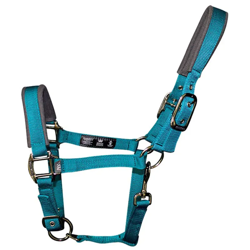 WW Contour Head Collar Ocean