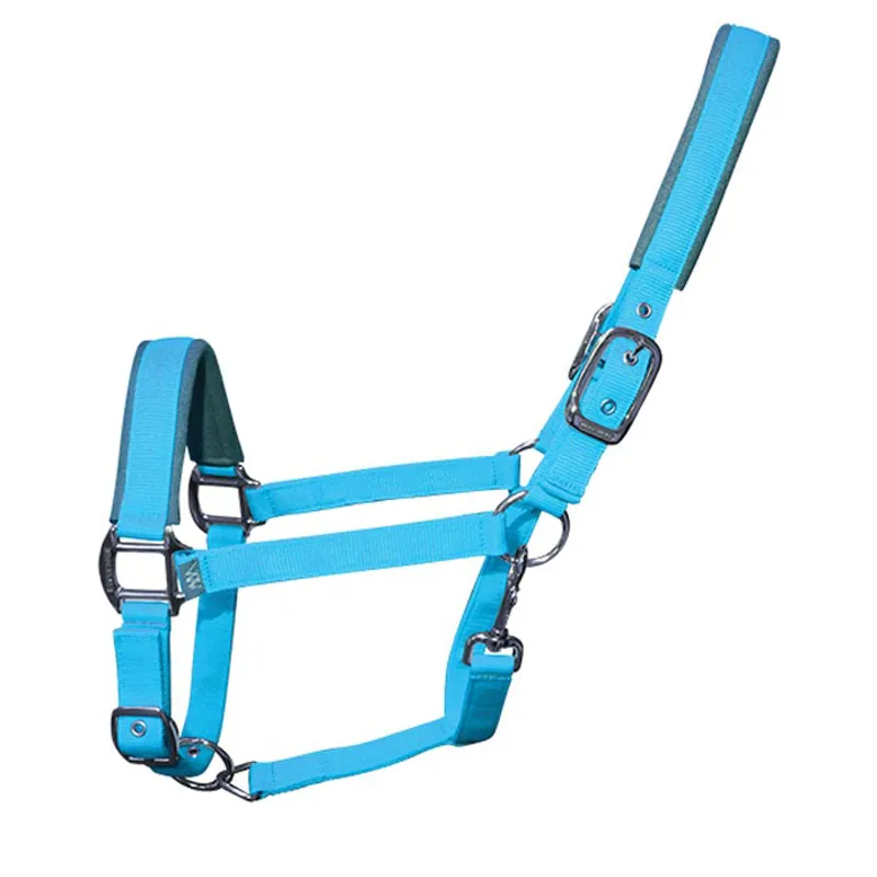 WW Contour Headcollar Turquoise