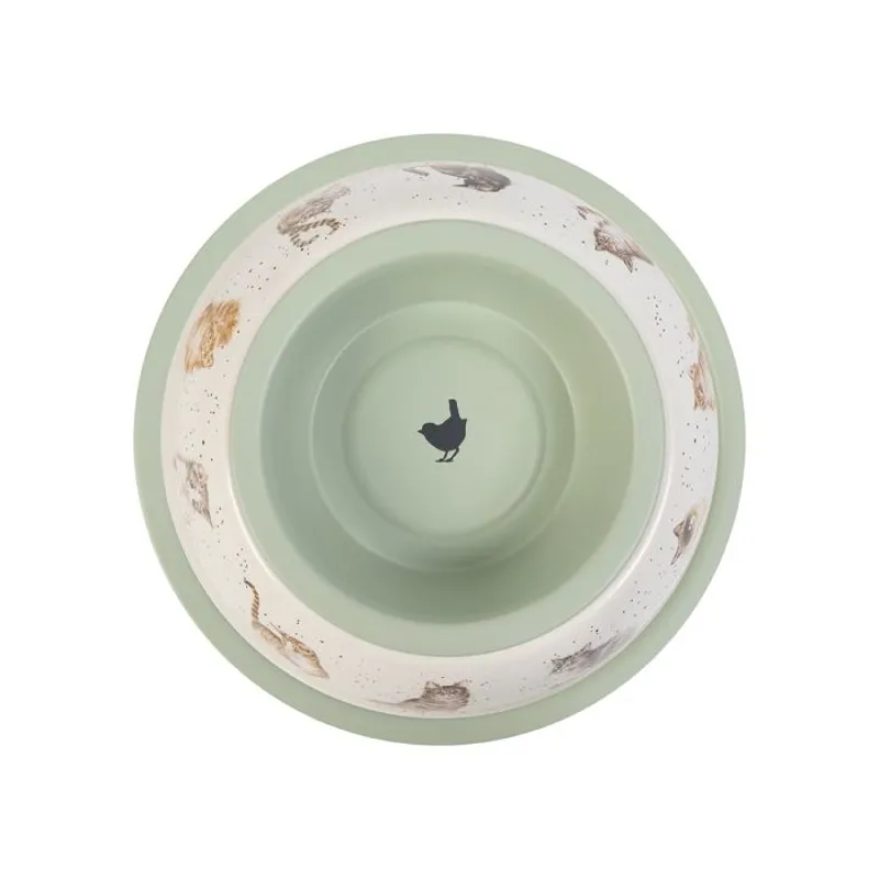Cat Bowl-2