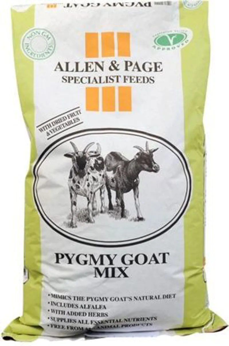 Allen and Page Pygmy Goat mix