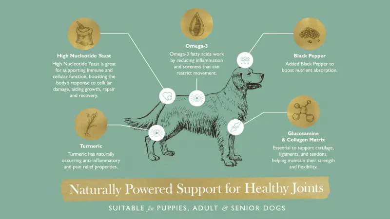 Eden Joint support 250g-3