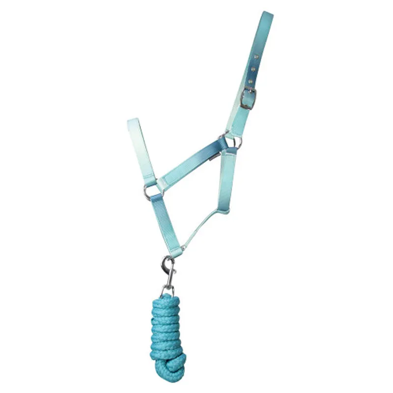 Hy Equestrian Ombre Head Collar set Teal