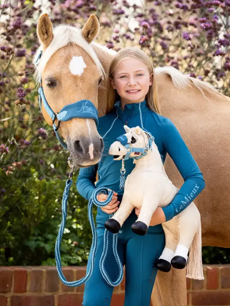 Lemieux Toy Pony Popcorn-2