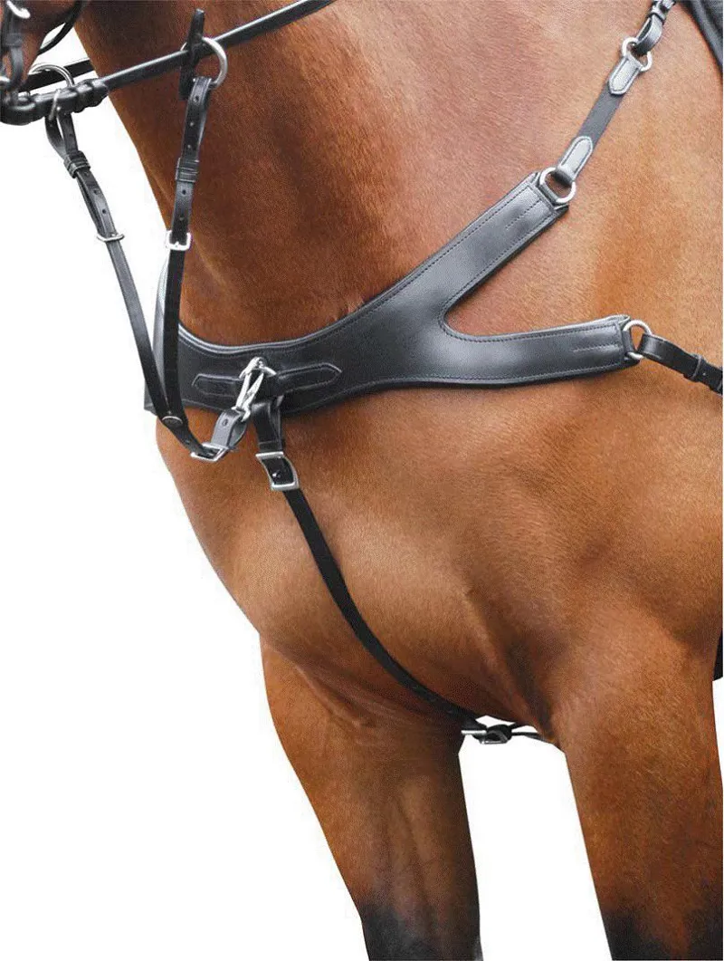 Ecorider Freedom Breastplate Full Brn-1