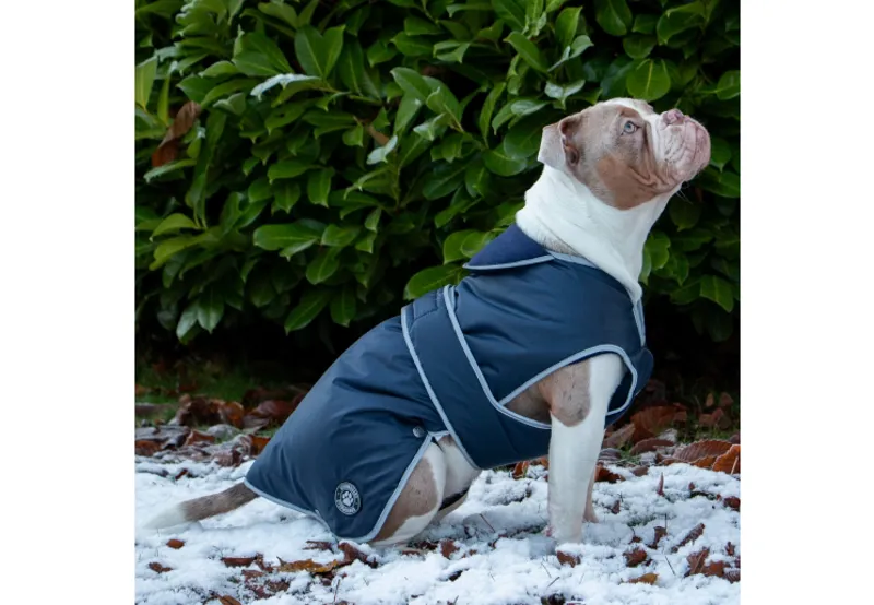 Ancol Stormguard Dog Coat - Small/Medium NAVY 