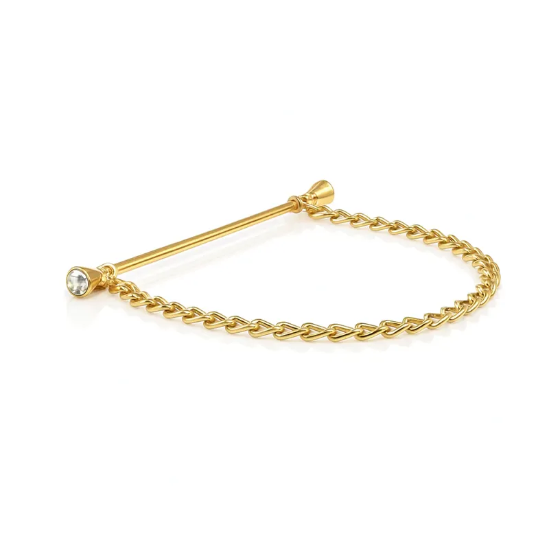 Equetech Showing Pin and Chain Gold/Crystal