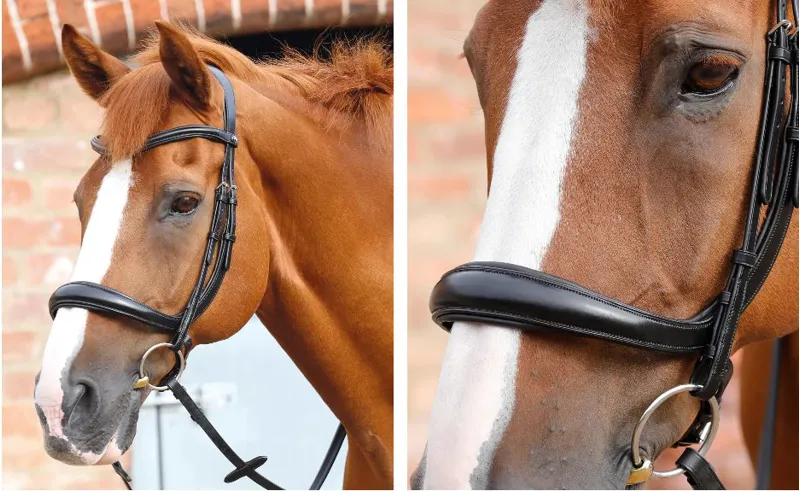 Lambro Anatomic Bridle Crank Noseband