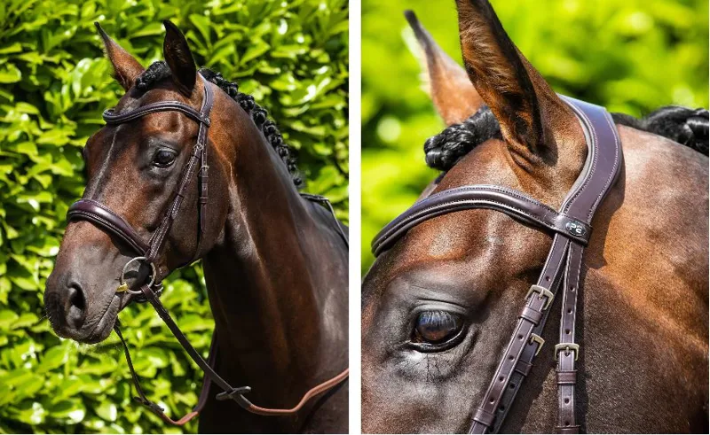 Verdura Snaffle Bridle