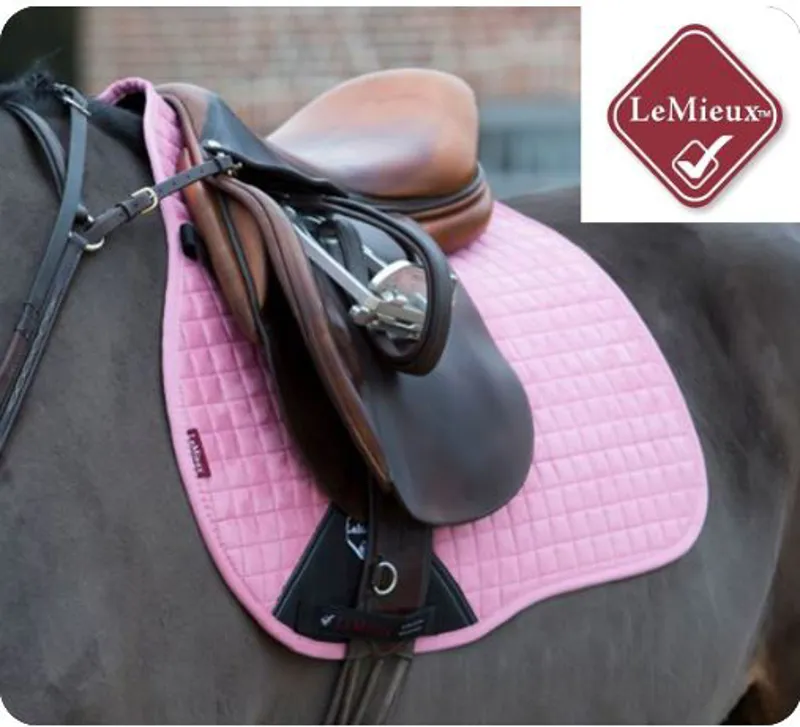 Lemieux Suede DR Square Pink