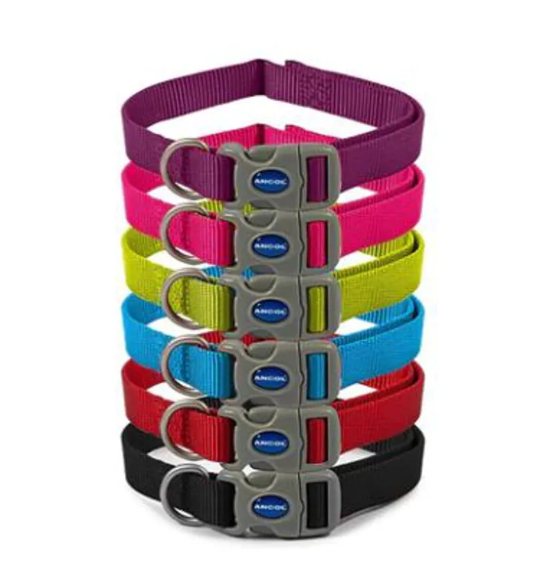 Ancol Viva Adjustable Collar Blue Small