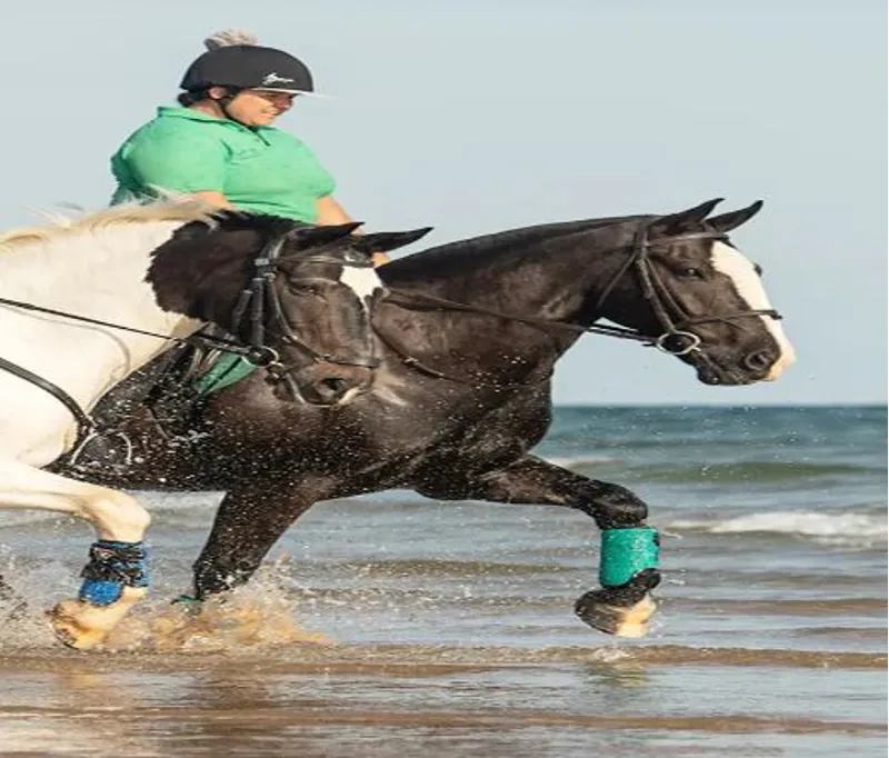 Equilibrium Tri-Zone All Sports Boots - TEAL