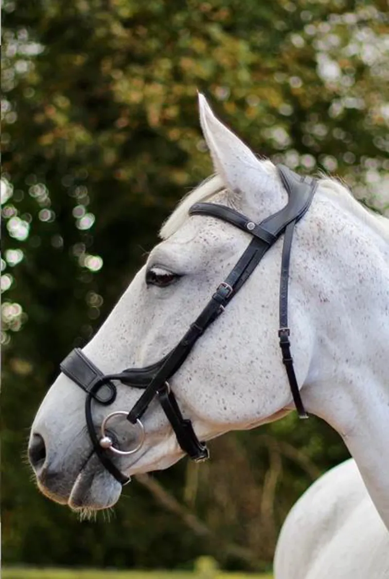 Eco Rider Freedom Jump Bridle Blk COB