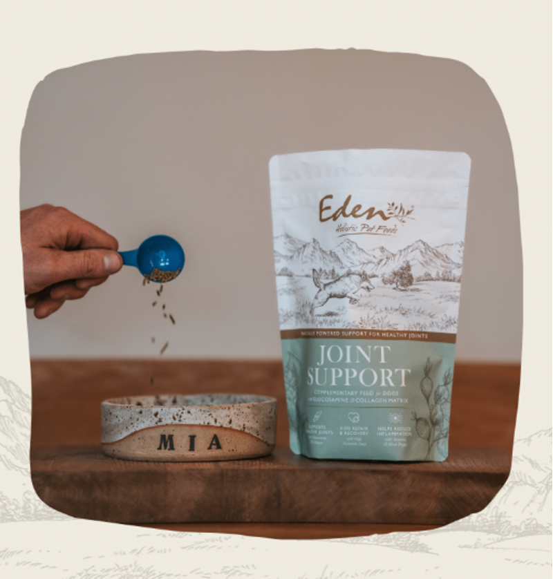 Eden Joint support 250g-1