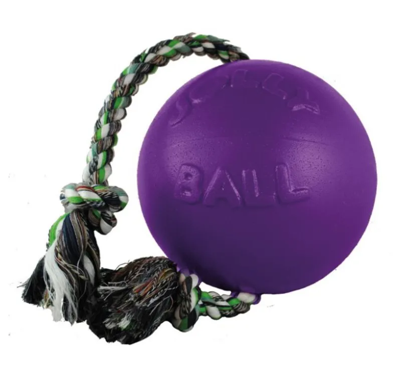 Jolly Pets Romp-N-Roll PURPLE 