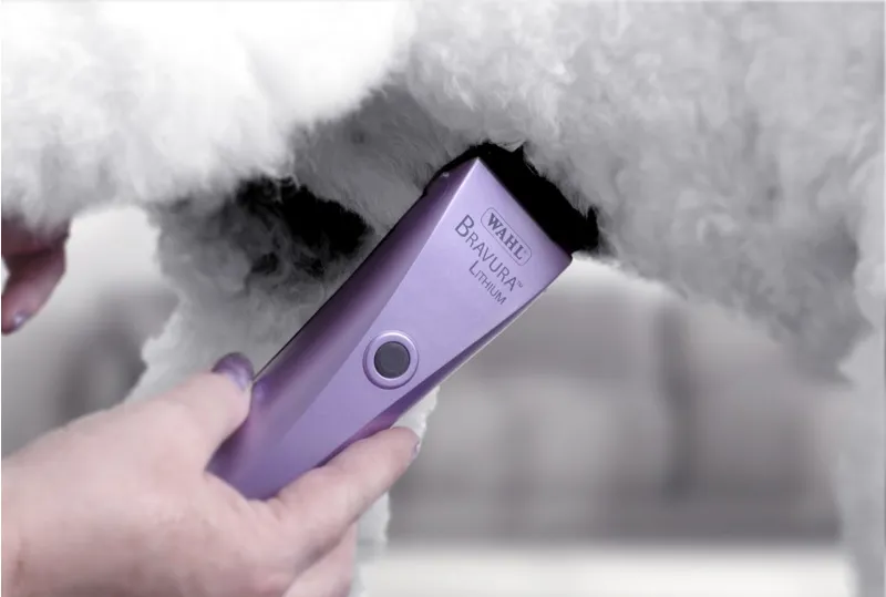 Wahl Bravura Lithium Ion Clipper-2