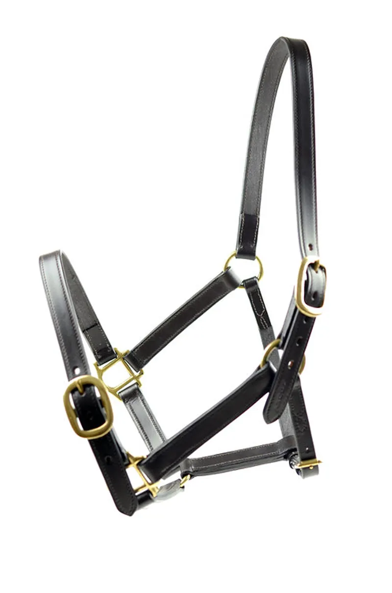 Leather Training Headcollar for Racehorses Brown 