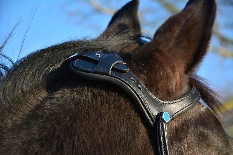 Stubben Freedom Bridle FS Ebony-1