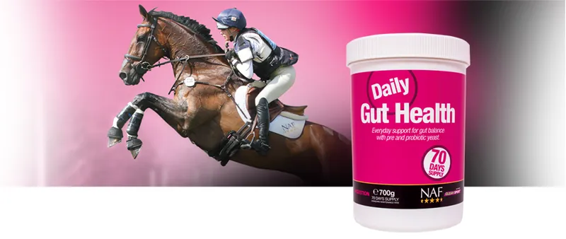 NAF Daily Gut Health