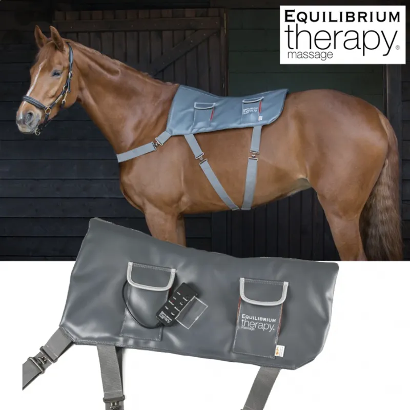 Equilibrium Therapy Massage Pad - Standard