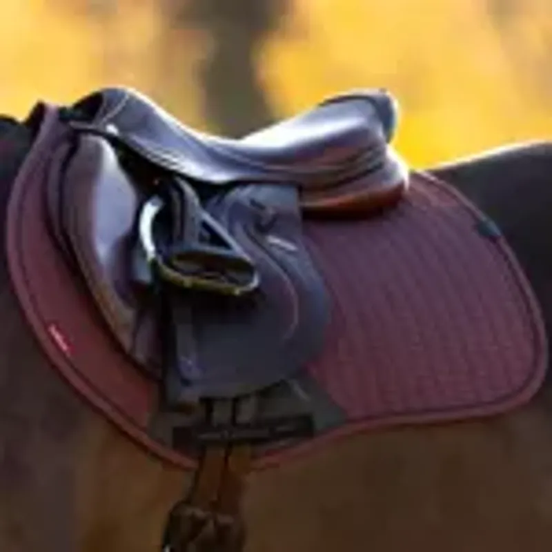 LeMieux Essence Eurojump Sq Damson Large