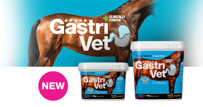 GastriVet 2kg