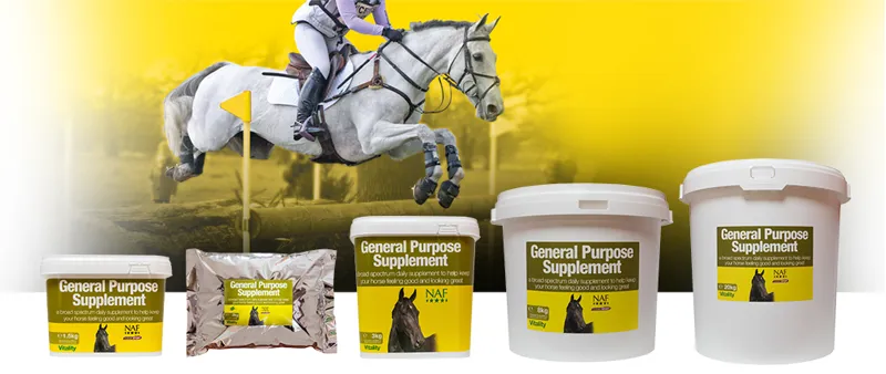 NAF General Purpose Supplement Refill Bag 2kg