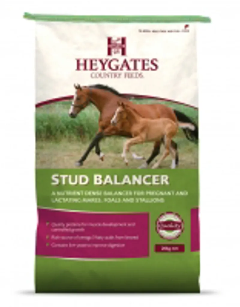 Heygate Stud Balancer