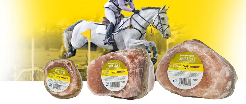 NAF Himalayan Salt Licks M