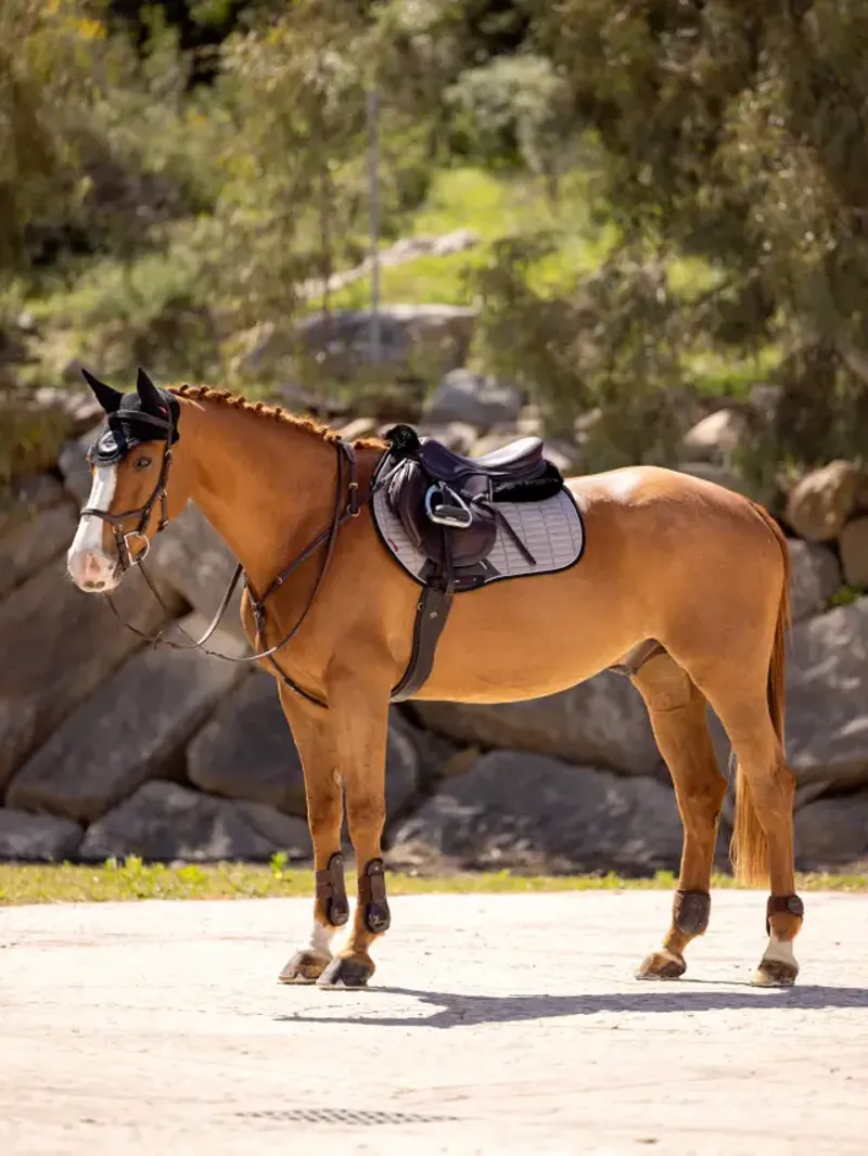 Lemieux Suede Eurojump Square Grey Lrg-1