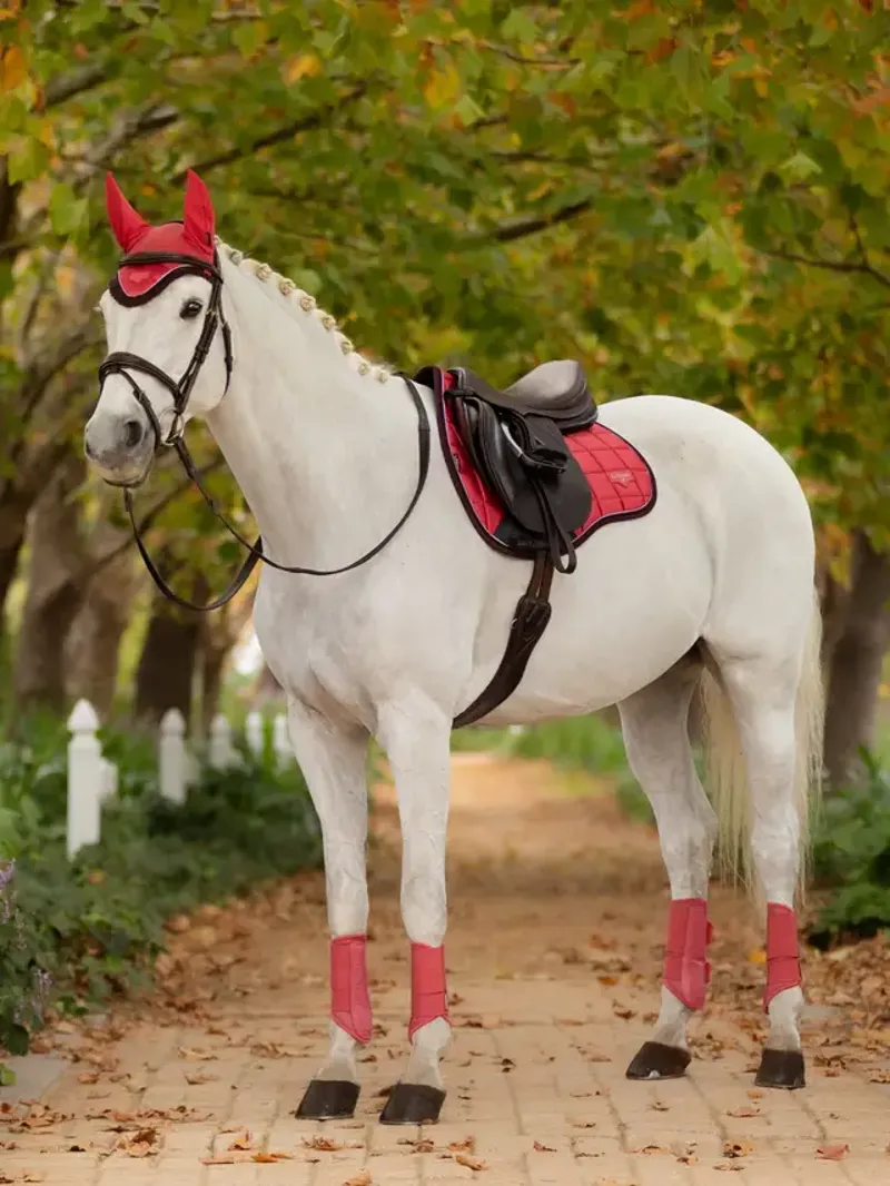 LeMieux Loire GP Square Cranberry S/M