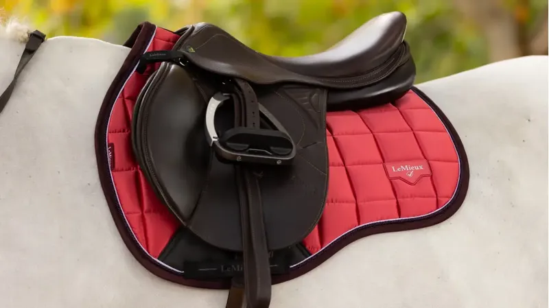 LeMieux Loire GP Square Cranberry S/M-2