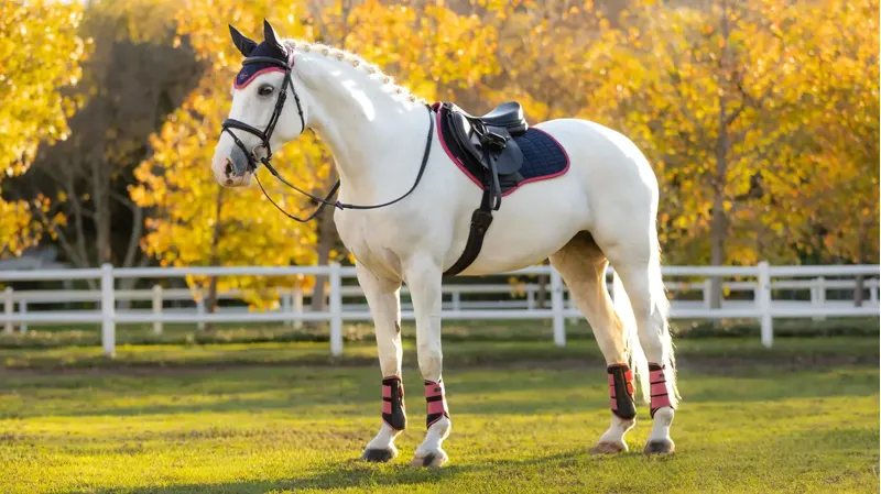 LeMieux Suede CC Square Navy/Cranberry Large-2