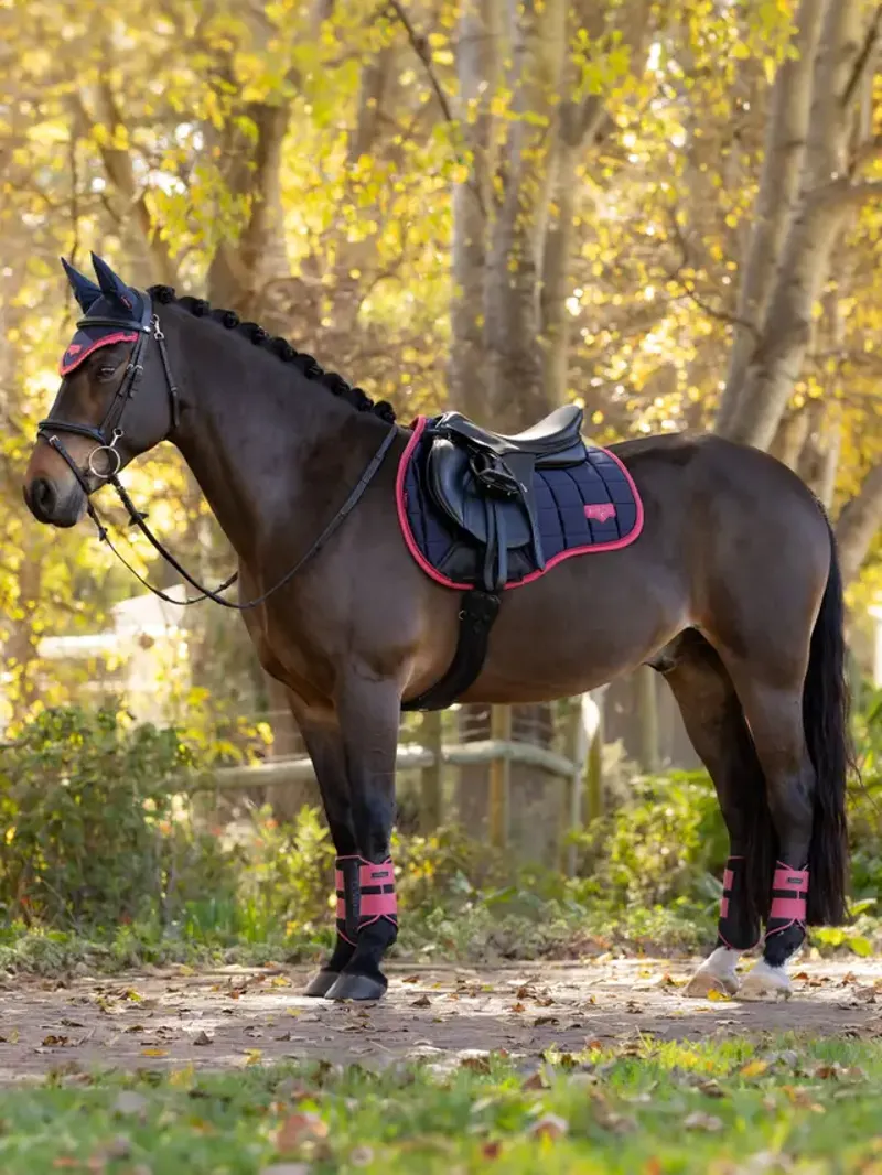 LeMieux Loire GP Square Navy/Cranberry Large