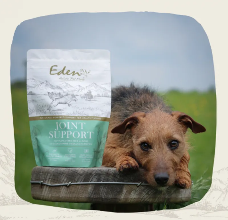 Eden Joint support 250g