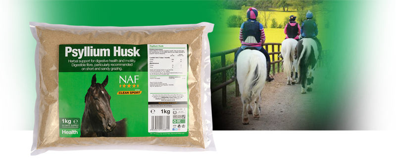 NAF Psyllium Husk 1kg