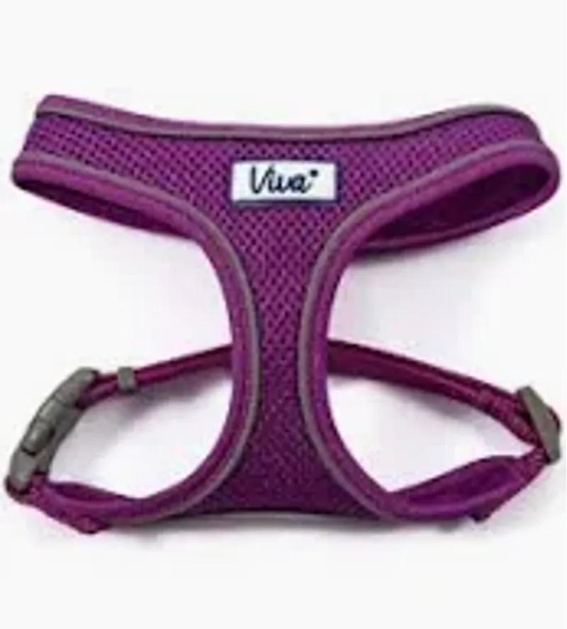Ancol Viva Mesh Harness Purple XS