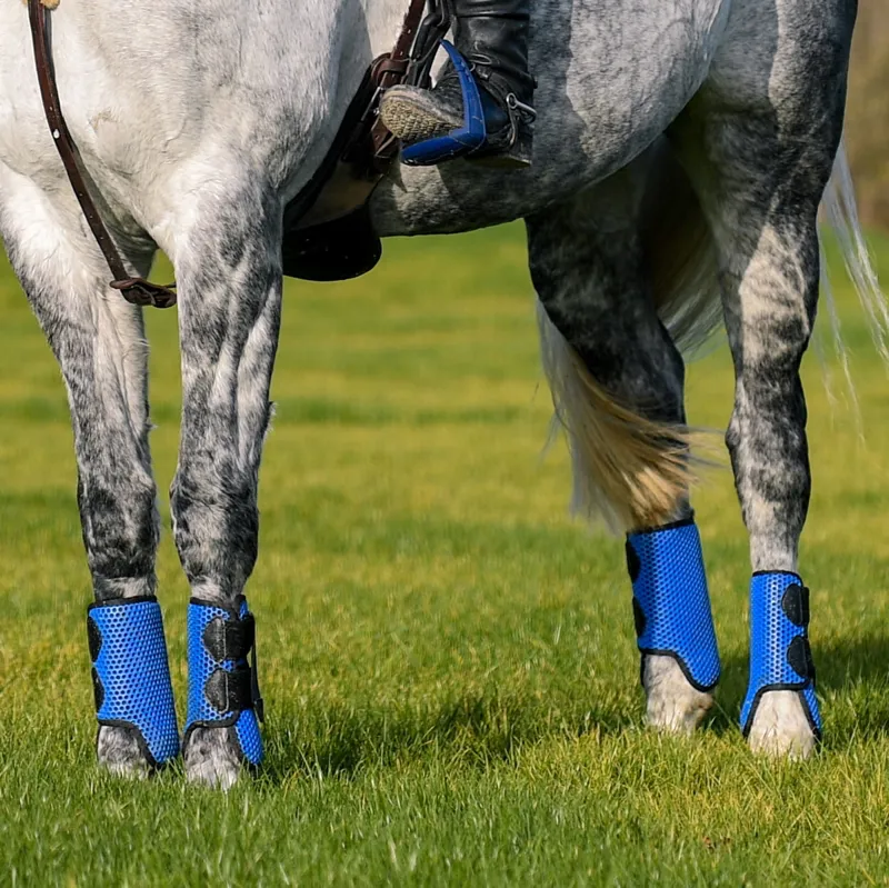 Equilibrium Tri-Zone All Sports Boots - ROYAL -3