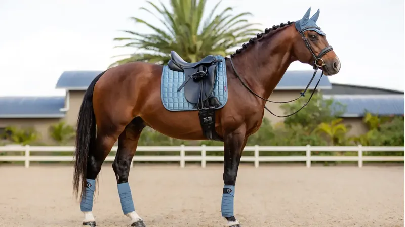 LeMieux Loire Memory Dressage Square Ice Blue Large