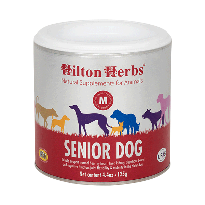 HH Senior Dog 125g